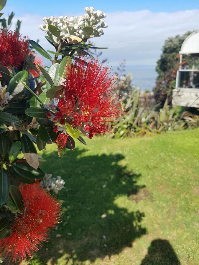 Te Kaha Beach Hotel Exterior photo